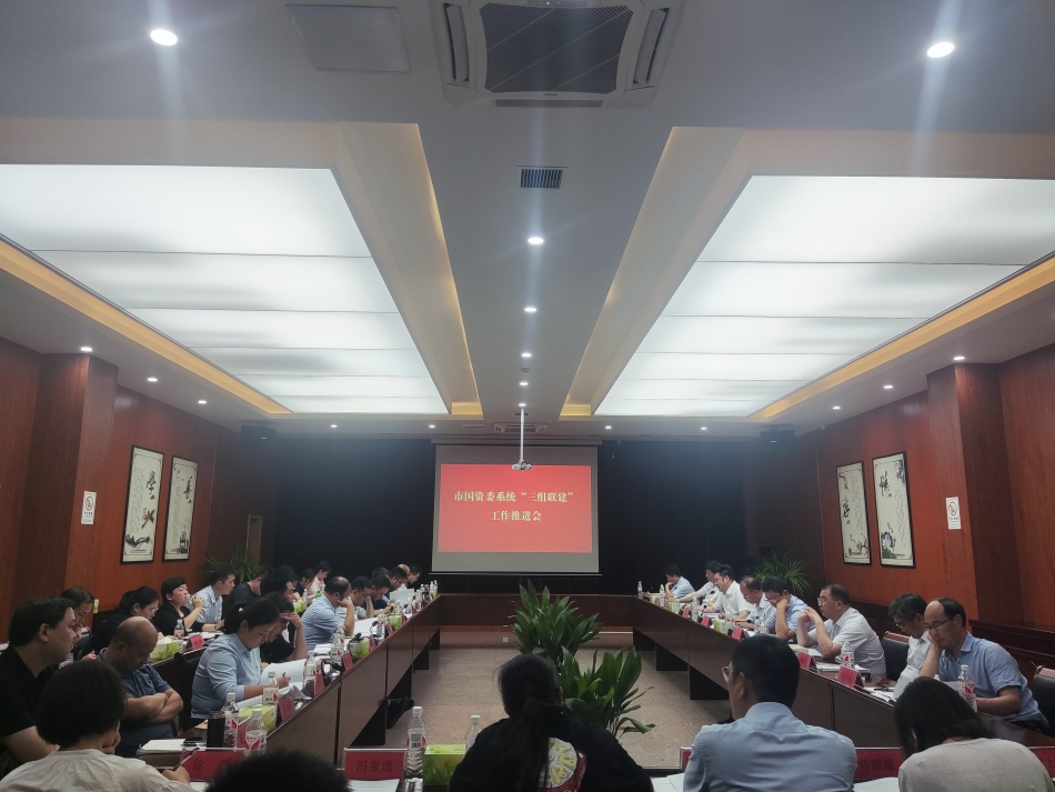 2024年7月17日，市國資委系統(tǒng)在公司開展“三組聯(lián)建”現(xiàn)場(chǎng)觀摩（推進(jìn)會(huì)）_副本